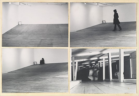 fruit-flies:  In January 1972, Acconci staged one of the decade’s most notorious