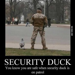 9gag:  Security duck reporting for duty!