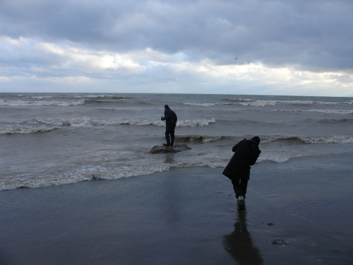 ceqs:  violent lake erie  