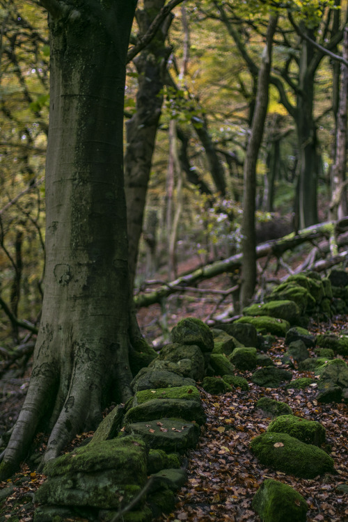 garettphotography:Todmorden, West Yorkshire | GarettPhotography