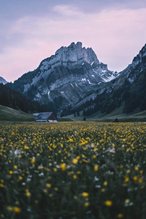 kimberontour:Into the wild I go: losing my way, finding my soul