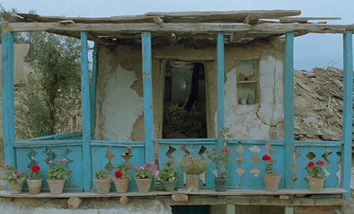 wkwz:Through the Olive Trees (1994) dir. Abbas Kiarostami