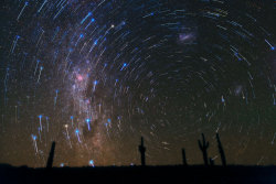 distant-traveller:  Star trails over Atacama Desert cacti  This gorgeous photograph, taken in the Atacama Desert in Chile, shows star trails circling the South Celestial Pole, over a cacti-dominated still landscape. The star trails show the apparent path