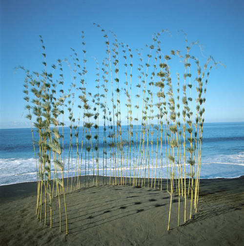 01030104: culturenlifestyle: Land Art Installations Aesthetically Disrupt The Natural Scene German p