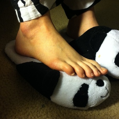 #feet #footfetish #pandaslippers