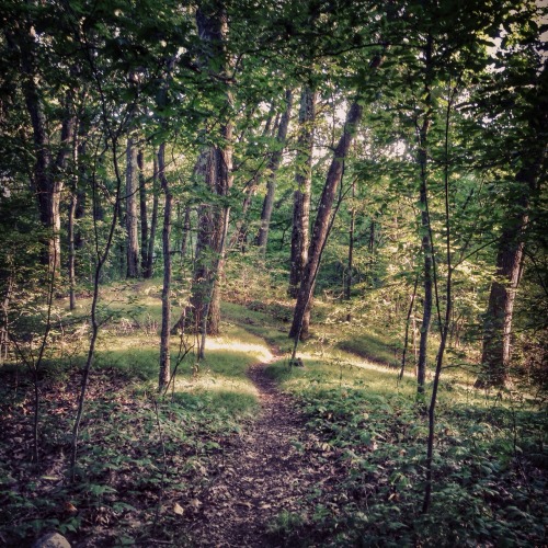 Belmont, MA, USA