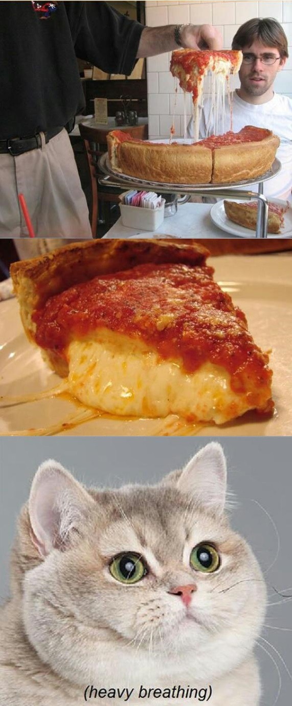 Life is good, but pizza makes it better