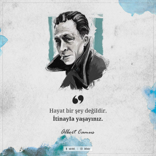 Hayat bir şey değiIdir.İtinayIa yaşayınız. - Albert Camus