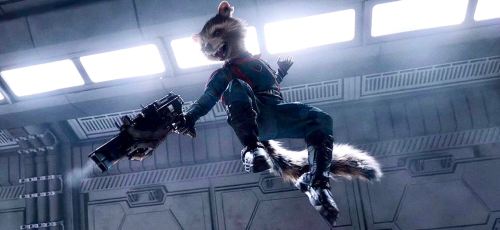 The Racoon Seduced Me