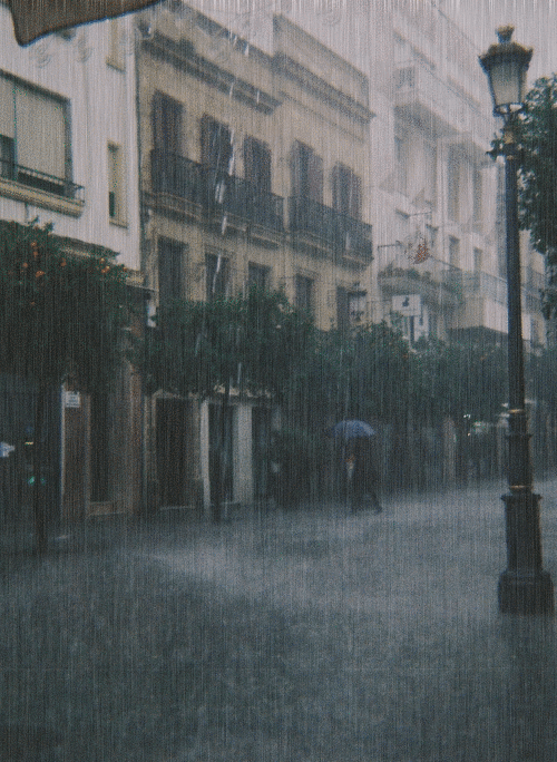 reciprocatedfeelings:  ✼ 