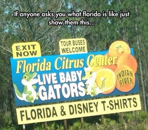 georgetakei:From a fan. …Floriduh.My friends&hellip; it’s true.  It’s ALL true.  The only thing miss