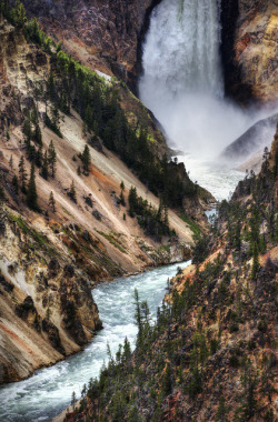 courageous-and-strong:  The Falls of Yellowstone