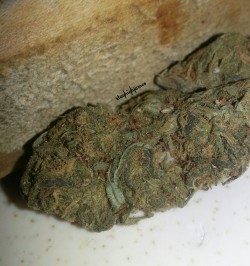 stayhighjames:  Pretty terpy