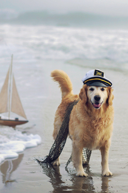 mstrkrftz:  Ahoy, Captain 4/52 by Champ&amp;Candice