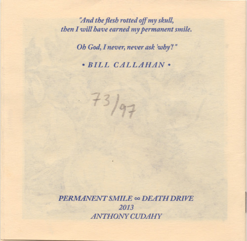 rgf-editionthinking: Anthony Cudahy, Permanent Smile, risograph zine, 2013. 