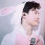 bunnymeon