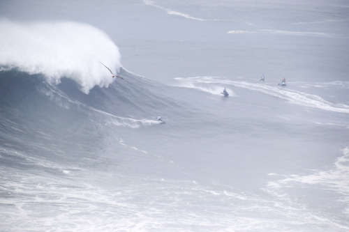 Nazaré Challenge _ Feb 2020