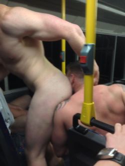 jocksbearsandgeeks:  jocksbearsandgeeks Celebrating over 10,000 followers. Now this is a Sydney bus! Why aren’t these bulls on one of my trips? 