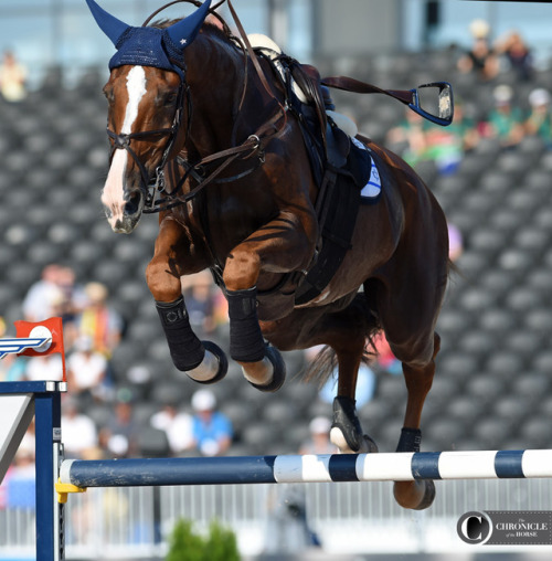 transperceneige: Tryon World Equestrian Games 2018 - show jumping | © Kimberly Loushin CHELA LS jump