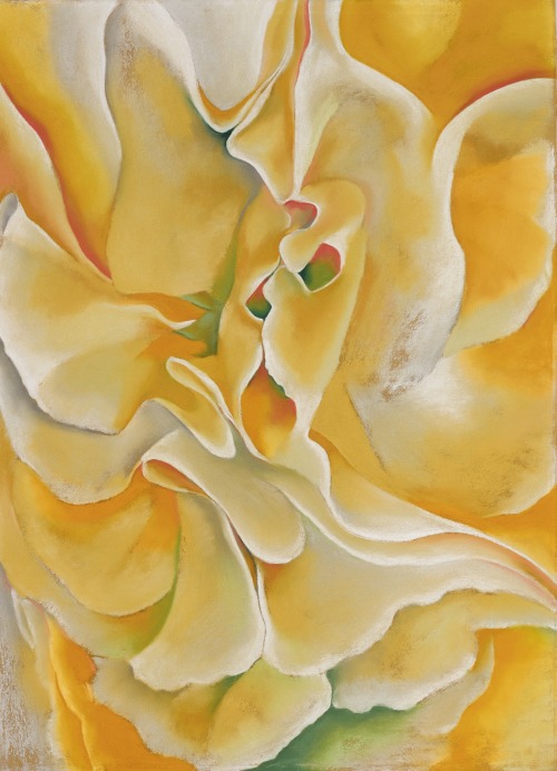 mybluewindow:Georgia O'Keeffe - “Yellow Sweet Peas”