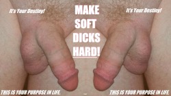 ppsperv:  traci-a:  It’s Your Destiny! MAKE SOFT DICKS HARD! THIS IS YOUR PURPOSE IN LIFE. Faggot.  Follow my tumblr—&gt; Pretty Pink Sissy Perv!  