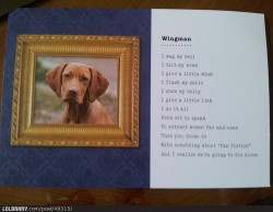 welive2laugh:  Wingman: A poem.Follow this blog for the best new funny pictures every day