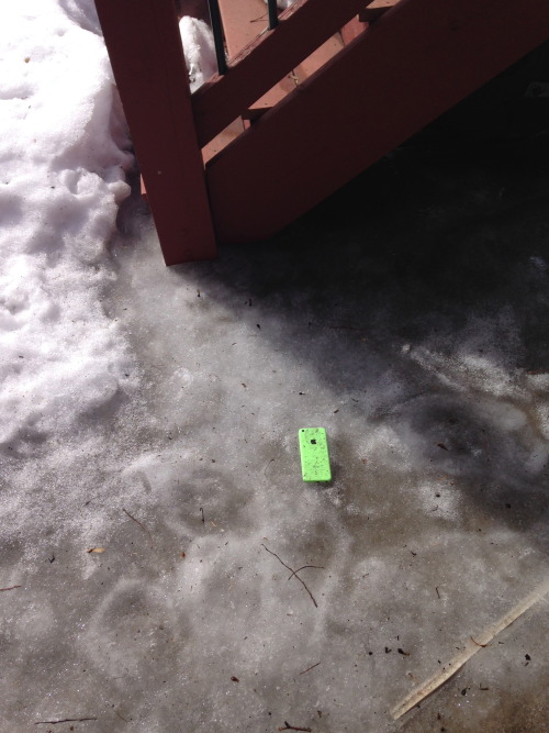 diickspriite:  somethingkindofstrange:  THIS IS THE FUCKING PHONE THAT I LOST IN DECEMBER. AFTER THE SNOW MELTED, I FOUND IT THIS MORNING FROZEN IN THE ICE. HOW THE FUCK DID YOU GET OUT THERE.  but does it work 