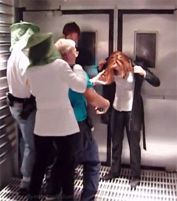 mulderscullyinthetardis: The whole crew was wearing protective gear. EXCEPT the bee keepers - and Da