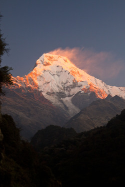 musts:  by © Andy Pringle Annapurna Mountain Range, Dhawalagiri, Nepal