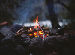 touchdisky:  Duckabush river area, western Olympic mountains, Washington state | USA by smoketronics 