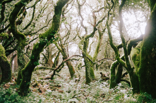 iylshowcase: #115/200 - Kellen MohrWe’re sharing 3 photos/day from this year’s submission shortlist 