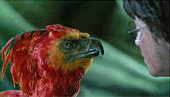 “It is our choices, Harry, that show what we truly are, far more than our abilities.”       
