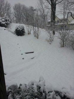 Nerdgeekgamerdork:   All Of This Right Here Has Killed My Day.   I Want A Snow Day!!!