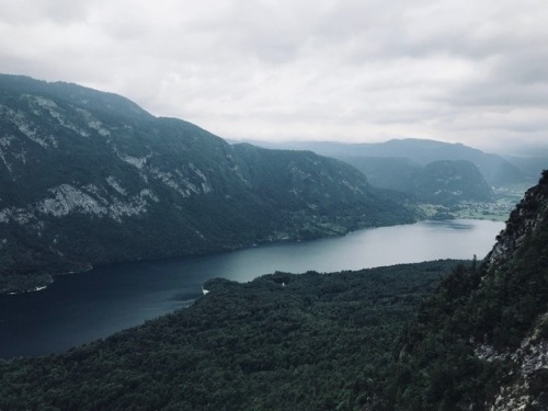 trustre:Bohinjsko jezero, Slovenia | more