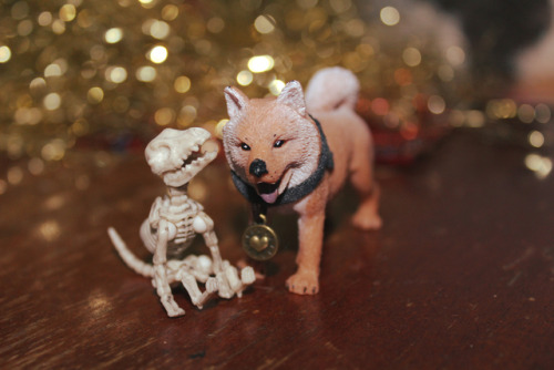 Hi Dog, Im Bony Dog