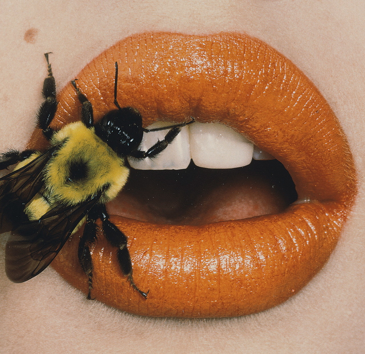 runwaydoll:  📷 by Irving Penn 