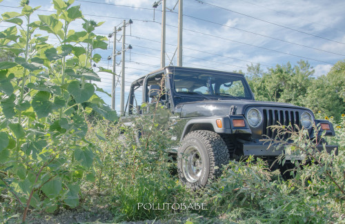 dirt road