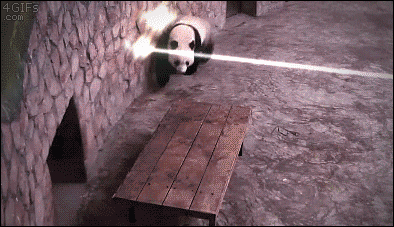 zackisontumblr:  when bae says he’s gonna cum and it burned your eye last time