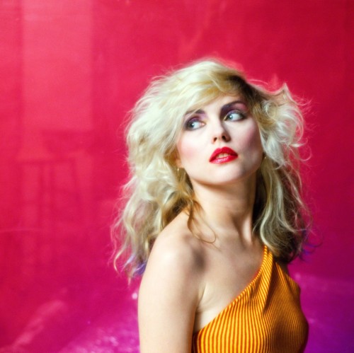 blueblackdream:Mick Rock, Pink Debbie Harry, 1978