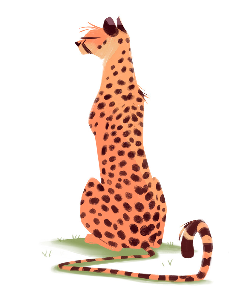 dailycatdrawings:  476: CheetahMy favorite big kitty