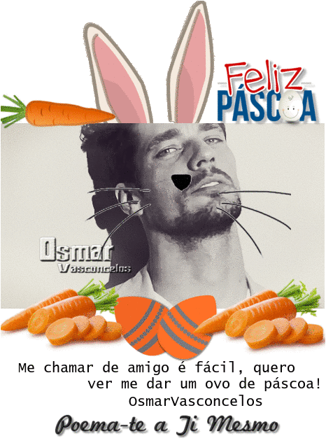07e5d403532e50fe251345b25aec81983a2a7a31