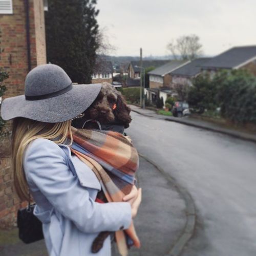Bruce prefers to be carried when he is cold #cockapoo ❤️ by bethanylilyapril