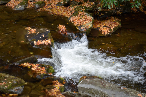 Fall in Gatlinburg, just a small piece of the creek. It’s amazing when the leaves fall, some s