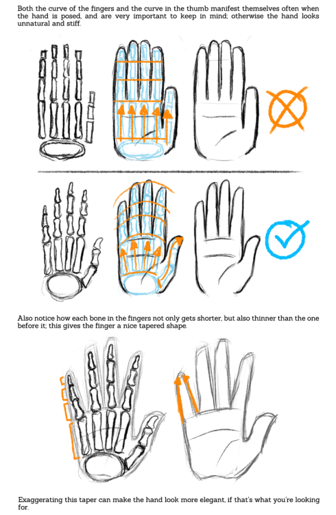 popgoesthewiener:sarahculture:Tips on Drawing Hands TutorialHope this is helpful!TwitterDeviantArt@t