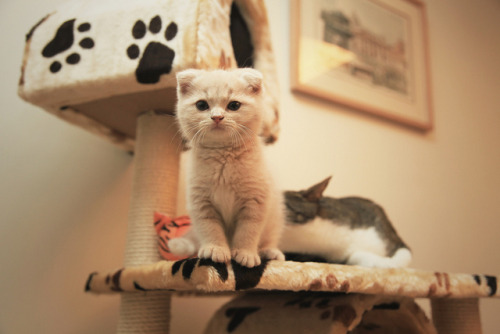 ajajaja! cutieee