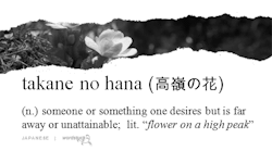 word-stuck:  takane no hana 高嶺の花 