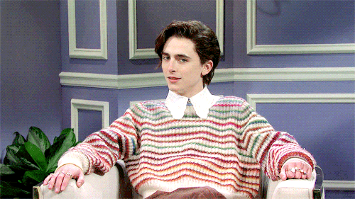 TIMOTHÉE CHALAMET hosts SATURDAY NIGHT LIVE | DECEMBER 12, 2020