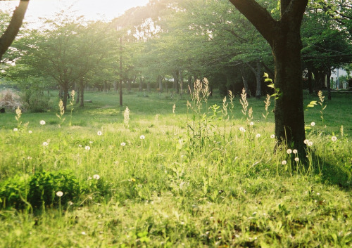englishsnow:   miyuklm 