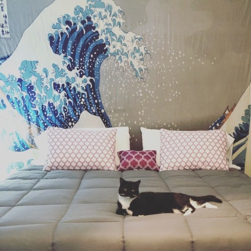 Guess Kilala approves of our memory foam mattress  www.instagram.com/p/BucO8PEB-T_UvsbZE6wOy