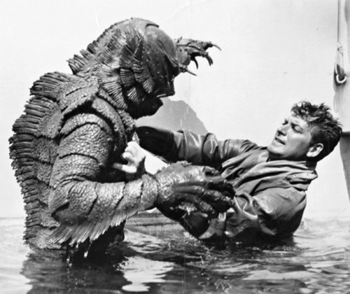 Porn Creature from the Black Lagoon, 1954. photos